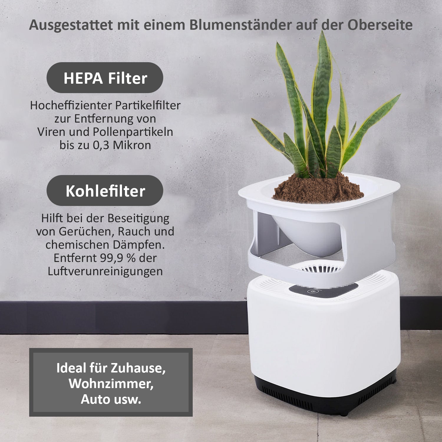 Multifunktion: Luftreiniger mit HEPA Filter, 20 sqm