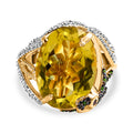 GP Italienische Garten Kollektion - Ouro Verde-Quarz, Rhodolith Granat und natürlicher Diopsid-Ring, 925 Silber Gelbgold Vermeil (Größe 17.00) ca. 14.88 ct