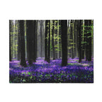 Lavendelblüten