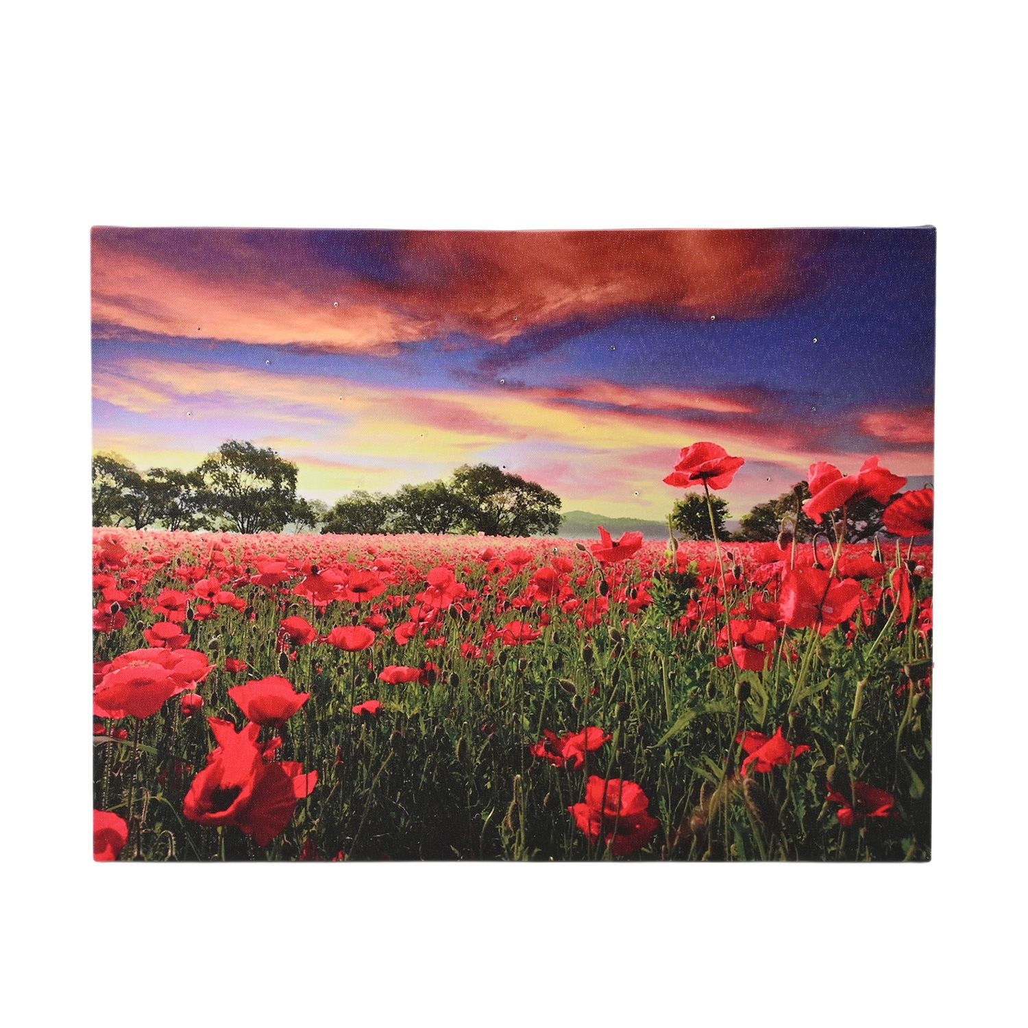 Rote Blumen
