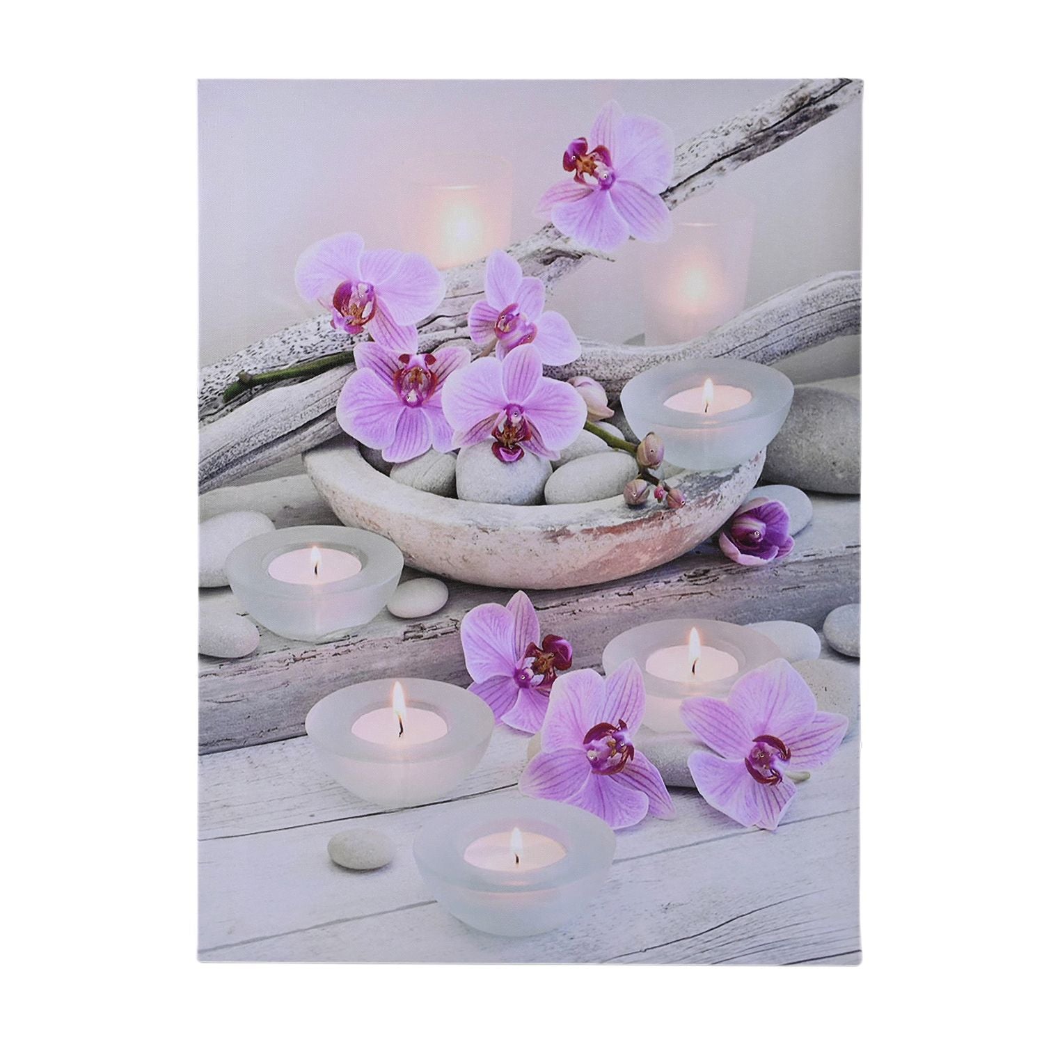Lila Orchidee