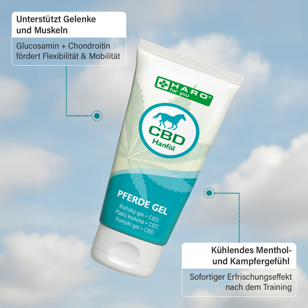 CBD - Pferdegel - 100ml
