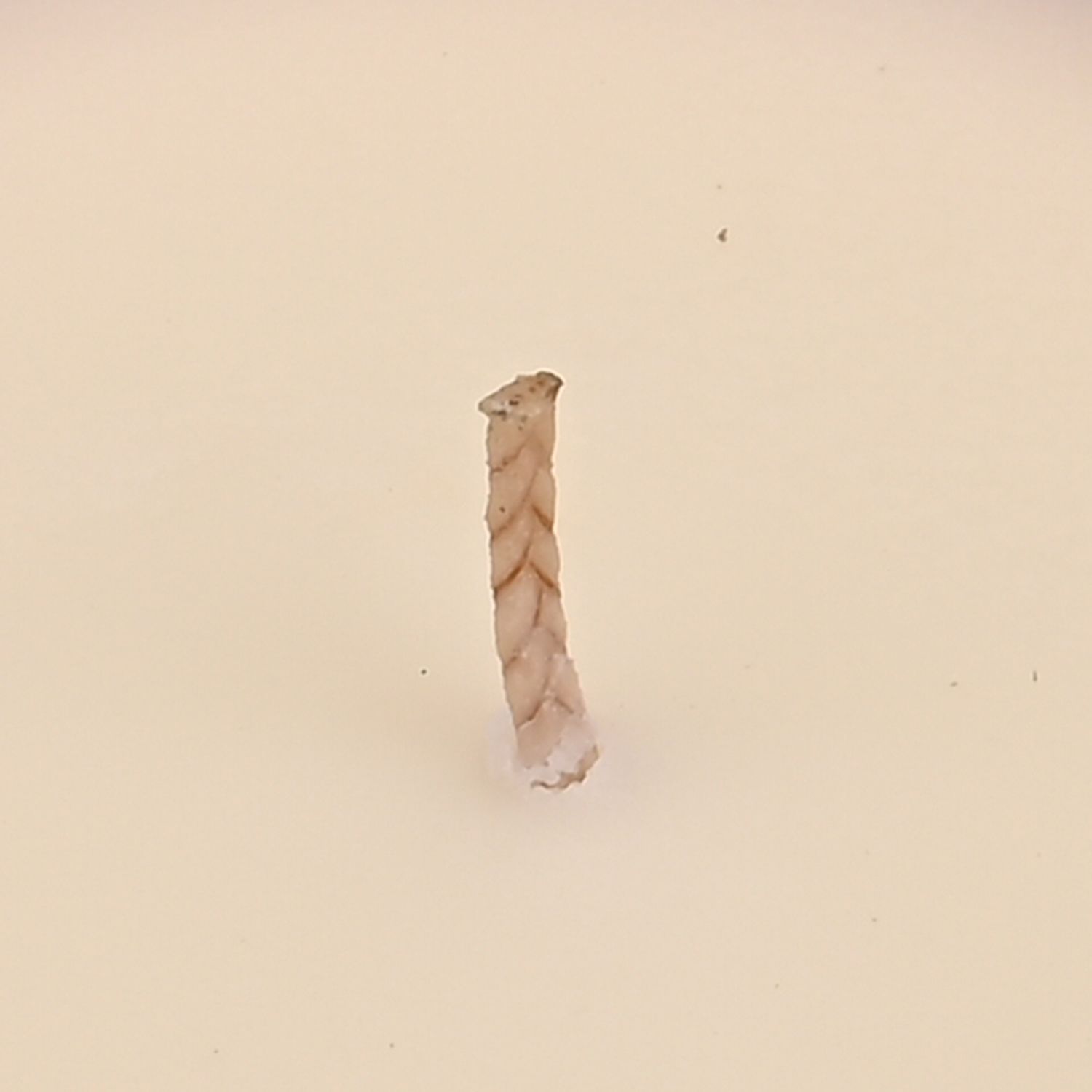 LIVMORE - Duftkerze im Glas mit Bienenmotiv,  24 Std. Brenndauer, 120g, 3,6 ml ätherisches Öl, Lavendel und Jasmin, Rosa