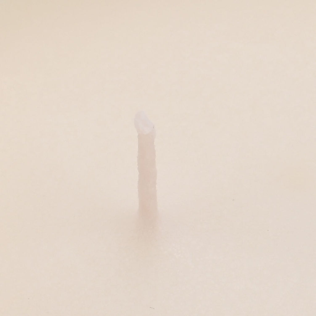 LIVMORE - Duftkerze, 28 Std. Brenndauer, 150g, 4,5 ml ätherisches Öl, Oud-Holz, Grün