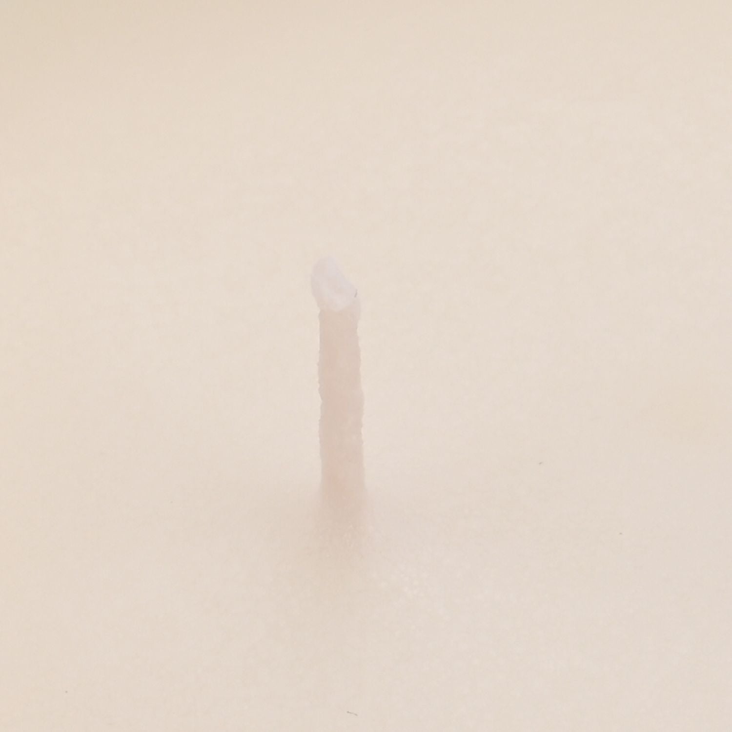 LIVMORE - Duftkerze, 28 Std. Brenndauer, 150g, 4,5 ml ätherisches Öl, Oud-Holz, Grün