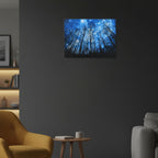 LIVMORE Wald Motiv LED Wandbild mit Glasfaser Lichteffekt 30 x 40 cm