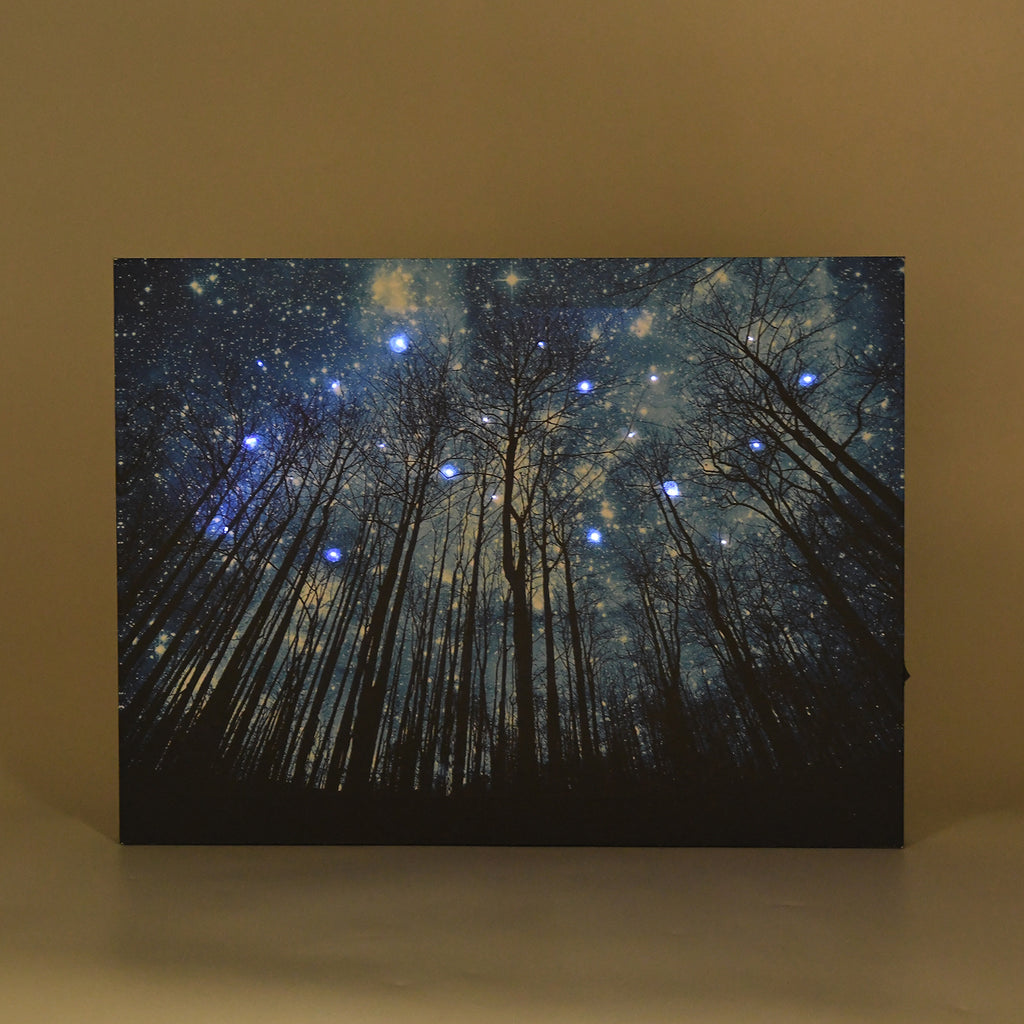 LIVMORE Wald Motiv LED Wandbild mit Glasfaser Lichteffekt 30 x 40 cm