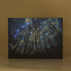 LIVMORE Wald Motiv LED Wandbild mit Glasfaser Lichteffekt 30 x 40 cm